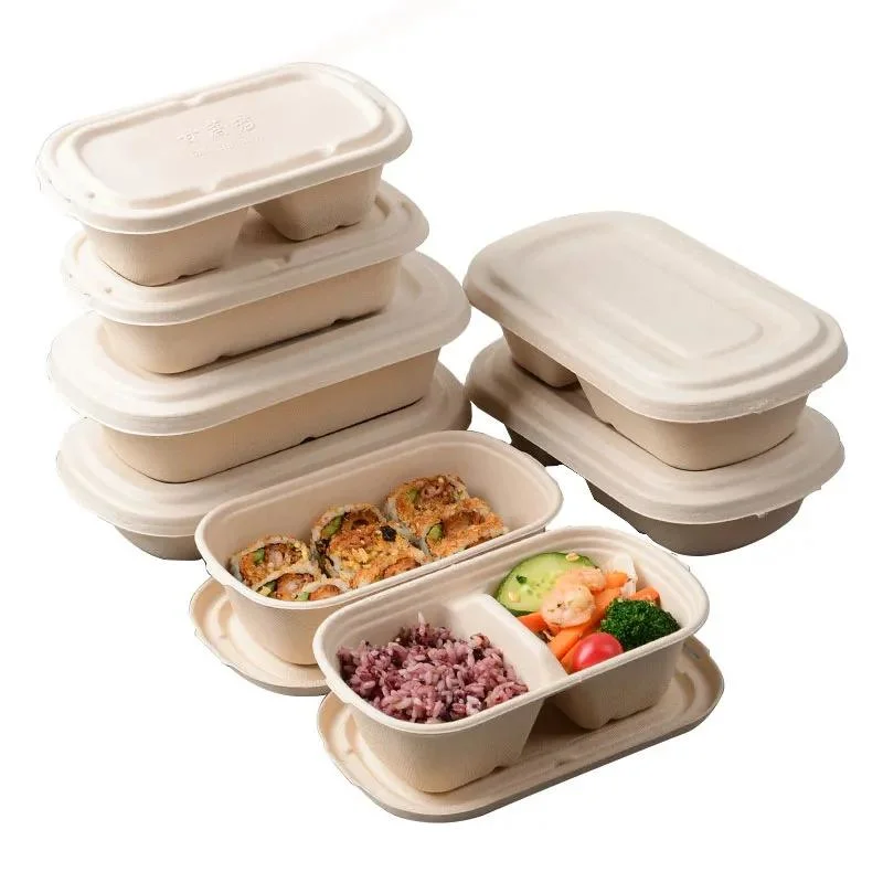 Biodegradable Disposable Sugarcane Bagasse Food Container Restaurant Food Take Away Lunch Box with Lid