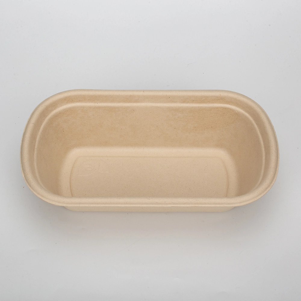 Biodegradable Disposable Sugarcane Bagasse Food Container Restaurant Food Take Away Lunch Box with Lid