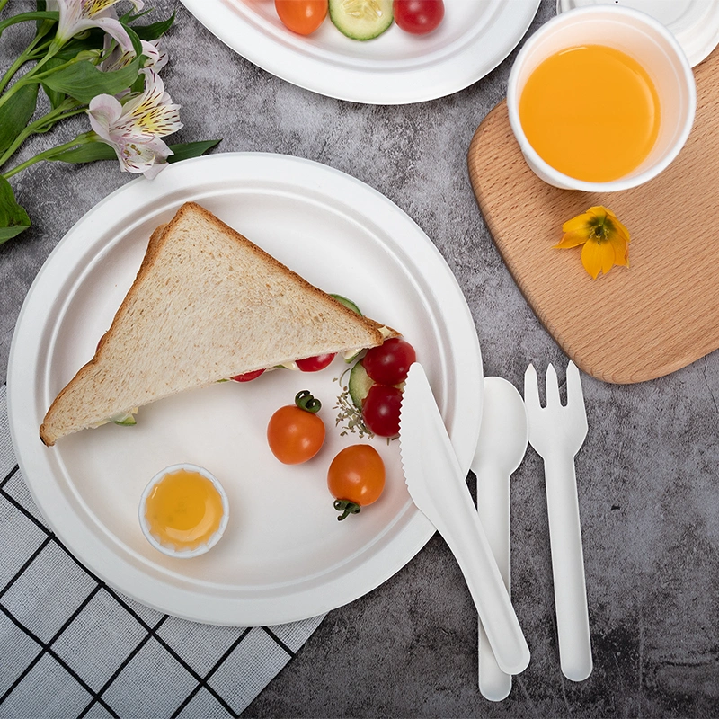 Disposable Compostable Biodegradable Tableware Round Paper Plate for Picnic