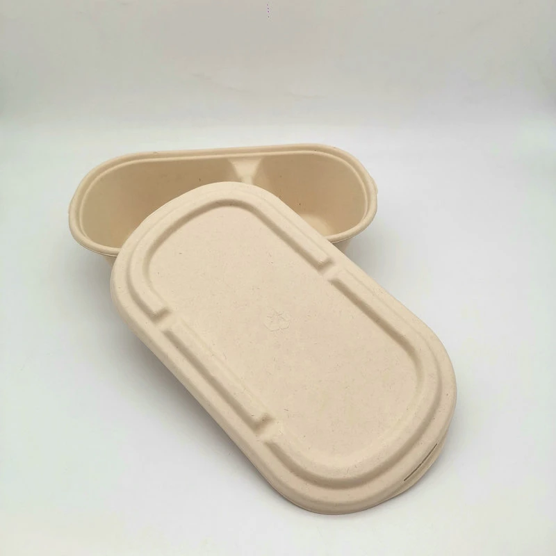 100% Biodegradable 2 Compartment Microwave Food Container 1000ml Bento Box with Lid