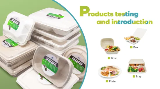 Caja de Catering de panadería Bento de papel compostable, fiambrera biodegradable desechable ecológica de 2 compartimentos, 1000ml, venta al por mayor
