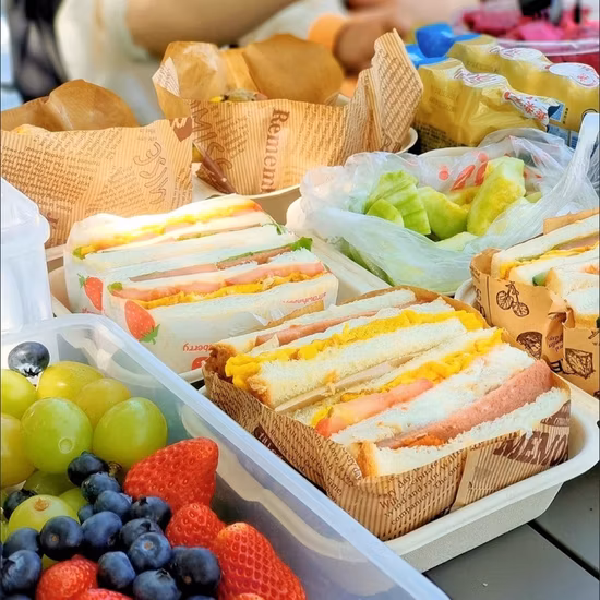 Tazón de papel biodegradable para ensalada, caja redonda/rectangular/cuadrada, muestra de tarifa FDA/UE