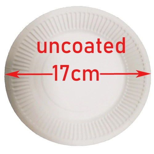 Vajilla biodegradable compostable desechable, plato de papel redondo para picnic